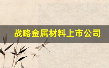 战略金属材料上市公司(战略金属有哪些)_https://www.hn-life.com_深交所_第1张