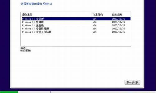 戴尔电脑怎么进入系统设置_戴尔电脑系统操作指南