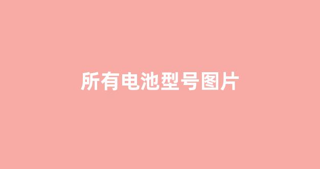 所有电池型号图片(电池型号图片大全)_https://www.taocizhiliang.com_效果图_第1张