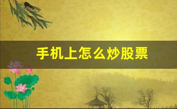 手机上怎么炒股票(手机怎么炒股票选股)_https://www.syklpowerbike.com_北交所_第1张