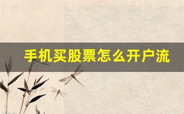 手机买股票怎么开户流程(中国正规股票app)_https://www.wguangz.com_郑商所_第1张