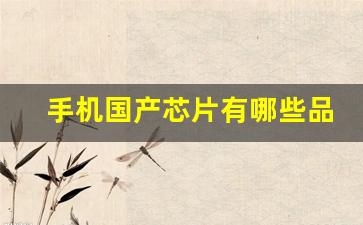 手机国产芯片有哪些品牌(国产手机芯片最好的是哪一种)_https://www.huakunhengjia.com_金融资讯_第1张