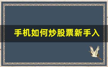 手机如何炒股票新手入门怎么开户(手机炒股怎么开户)_https://www.brunchezvous.com_自驾游_第1张