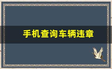 手机查询车辆违章怎么查_手机查询车辆违章