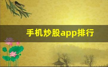 手机炒股app排行(手机炒股app排行榜最新)_https://www.wguangz.com_郑商所_第1张
