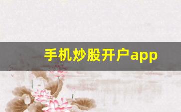 手机炒股开户app(怎样入市)_https://www.gen-fastener.com_上期所_第1张