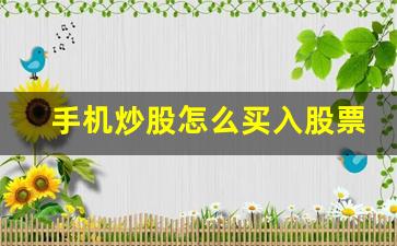 手机炒股怎么买入股票(手机炒股怎么买卖)_https://www.shshucaipeisong.com_北交所_第1张