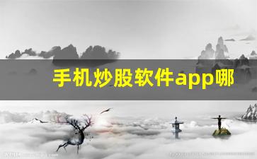 手机炒股软件app哪个好(手机 炒股软件)_https://www.gzyhshgzzx.com_上期所_第1张