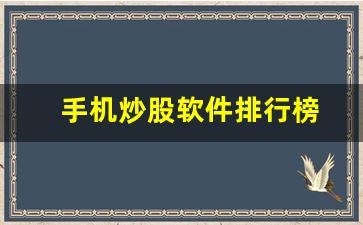 手机炒股软件排行榜(手机炒股软件排行榜第一名)_https://www.erdeww.com_期货_第1张