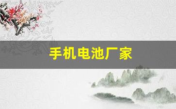 手机电池厂家(手机电池厂家适宜高原用的电池)_https://www.shshucaipeisong.com_上交所_第1张
