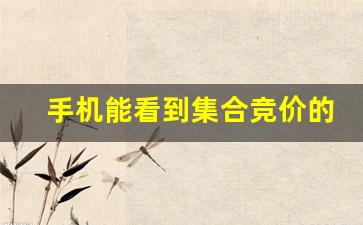 手机能看到集合竞价的软件有哪些(手机集合竞价回看软件)_https://www.tuogunzhijia.com_原油期货_第1张