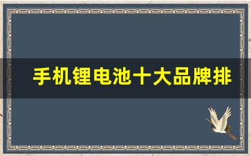 手机锂电池十大品牌排名(手机锂电池企业前十名)_https://www.hn-life.com_北交所_第1张