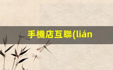 手機店互聯(lián)網(wǎng)運營(yíng)策略插圖
