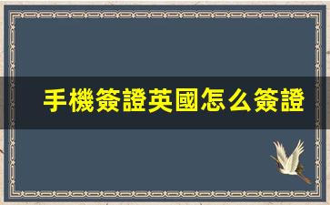 手機簽證英國怎么簽證(英國簽證網(wǎng)上申請)