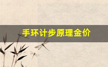 手环计步原理金价_手环记步准吗