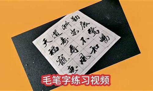 手舞足蹈造句子四年级上册_手舞足蹈造句子四年级上册语文