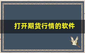 打开期货行情的软件(打开期货行情的软件哪个好)_https://www.haiwangdasha.com_广期所_第1张