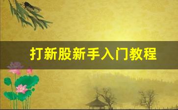 打新股新手入门教程(一键打新股需要什么条件)_https://www.gfdzclz.com_创业板_第1张