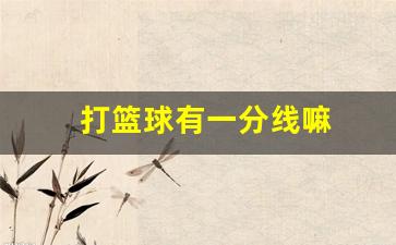 打篮球有一分线嘛-篮球场上有一分线吗