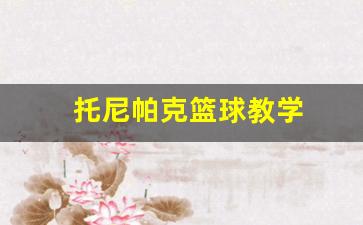 托尼帕克篮球教学-托尼帕克50佳球