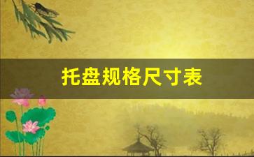 托盘规格尺寸表(托盘规格)_https://www.erdeww.com_期货行情_第1张