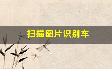 扫描图片识别车(扫描图片识别人物)_https://www.nalian8.com_科创板_第1张