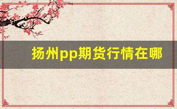 扬州pp期货行情在哪看(pp期货实时价格走势图)_https://www.haiwangdasha.com_郑商所_第1张