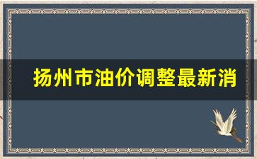扬州实时油价-扬州市油价调整最新消息