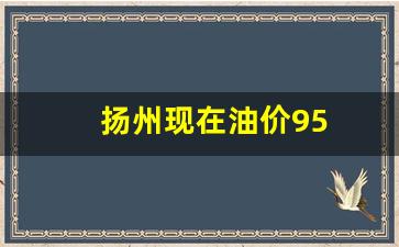 扬州汽油价格95号_扬州现在油价95