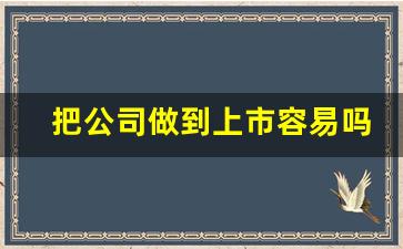 把公司做到上市容易吗(公司成为上市公司有什么好处)_https://www.syklpowerbike.com_深交所_第1张