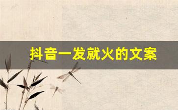 抖音一发就火的文案(抖音一发就火的文案搞笑)