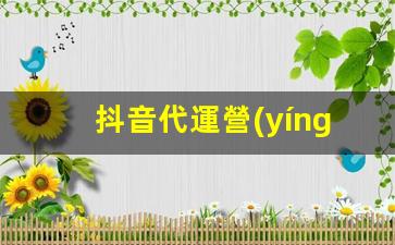 抖音代運營(yíng)服務(wù)內容插圖