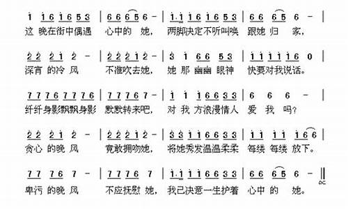 护花使者歌词_护花使者歌词拼音对照