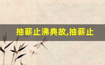 抽薪止沸典故,抽薪止沸故事,抽薪止沸是什么意思-第1张图片-我的生活随想