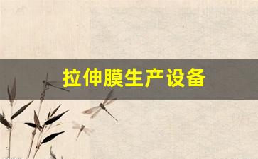 拉伸膜生产设备(拉伸膜生产机器)_https://www.eamstsz.com_上交所_第1张