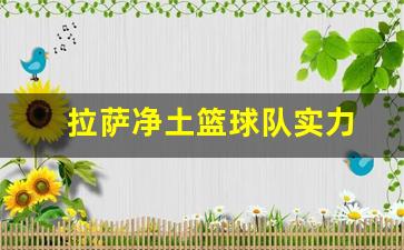 拉萨净土篮球队名单-拉萨净土篮球队实力