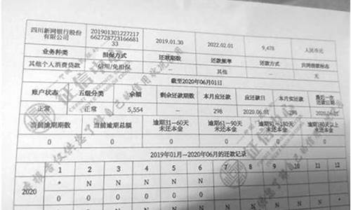 按揭二手车怎么查征信记录呢-按揭二手车怎么查征信记录