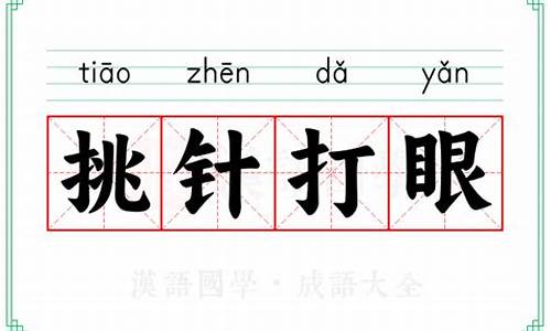 挑针打眼是什么意思呀视频-挑针打眼是什么意思呀