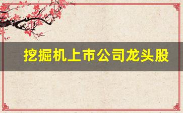 挖掘机上市公司龙头股(挖掘机上市公司龙头股票有哪些)_https://www.wanyuyiyao.com_创业板_第1张