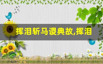 挥泪斩马谡典故,挥泪斩马谡故事,挥泪斩马谡是什么意思-第1张图片-我的生活随想