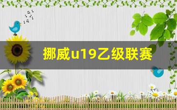挪威乙级联赛b-挪威u19乙级联赛