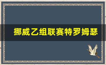 挪威乙组联赛特罗姆瑟-挪威特罗姆瑟大学官网