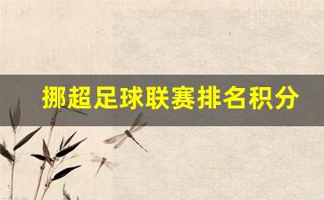 挪超足球联赛排名积分榜-挪超联赛2020积分