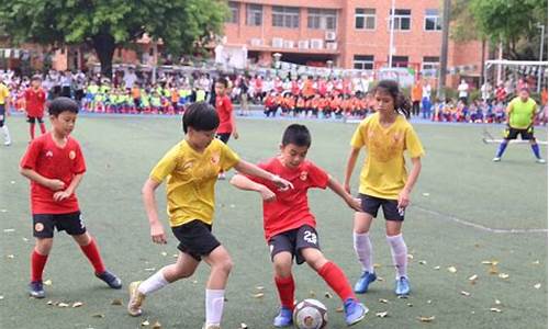 东城小学足球队_振东小学足球队