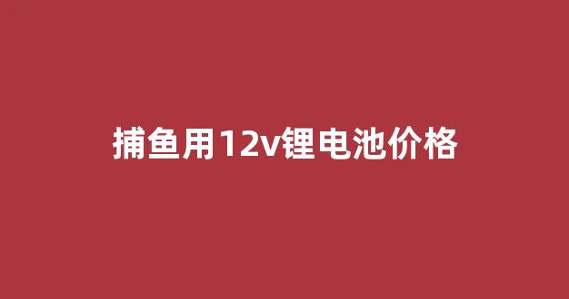 捕鱼用12v锂电池价格(捕鱼电池最小用多少安)_https://www.ljyuan-tech.com_深交所_第1张