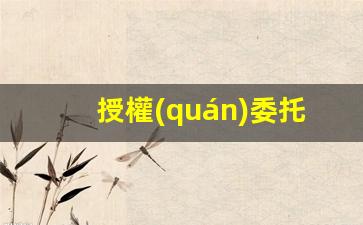 授權(quán)委托簽證(簽證委托書的格式怎么寫)