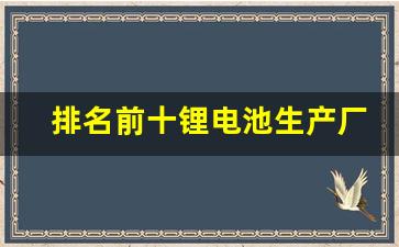 排名前十锂电池生产厂家(锂电池厂家)_https://www.gzyhshgzzx.com_上期所_第1张