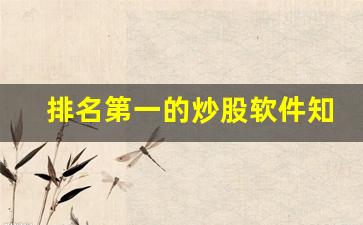 排名第一的炒股软件知乎(排名第一的炒股软件知乎推荐)_https://www.dongshengweixin.com_科创板_第1张