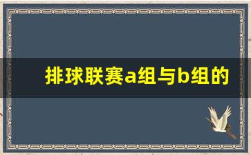排球联赛a组与b组的差别-排球a组排名