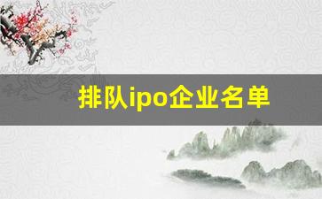 排队ipo企业名单(排队ipo企业名单公布)_https://www.haiwangdasha.com_深交所_第1张